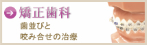 矯正歯科